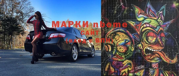 прущие грибы Лабытнанги