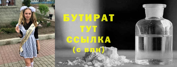 прущие грибы Лабытнанги