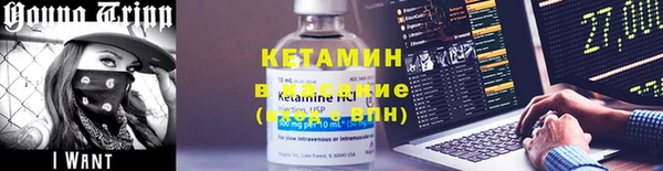 прущие грибы Лабытнанги