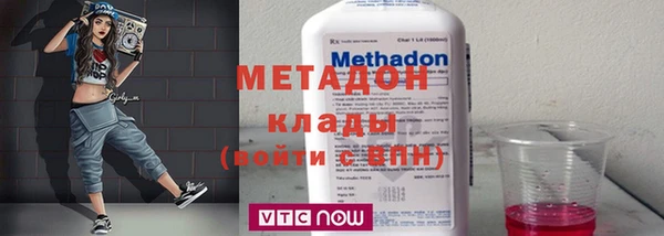 прущие грибы Лабытнанги