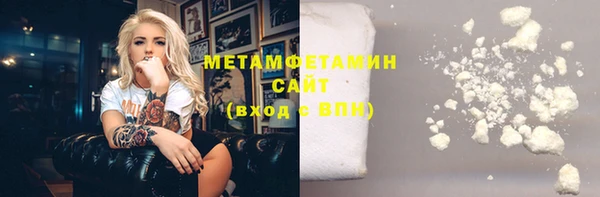 прущие грибы Лабытнанги