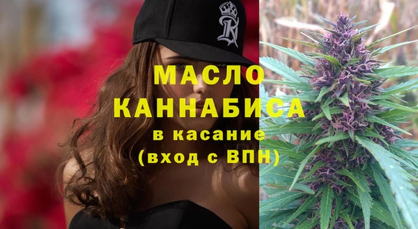прущие грибы Лабытнанги