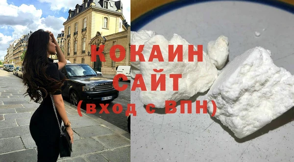 прущие грибы Лабытнанги