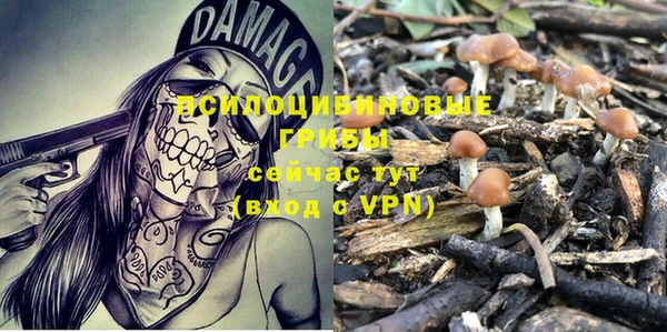 mdpv Лагань