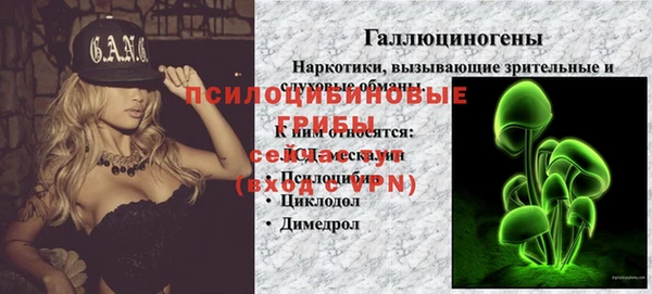 mdpv Лагань