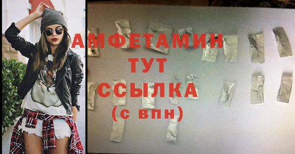 прущие грибы Лабытнанги