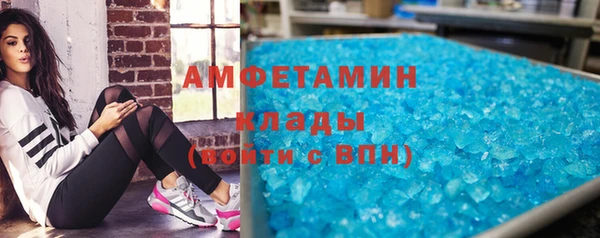 прущие грибы Лабытнанги