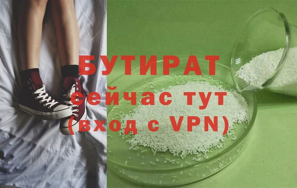 прущие грибы Лабытнанги