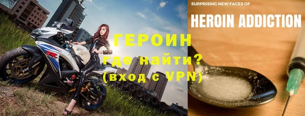 прущие грибы Лабытнанги