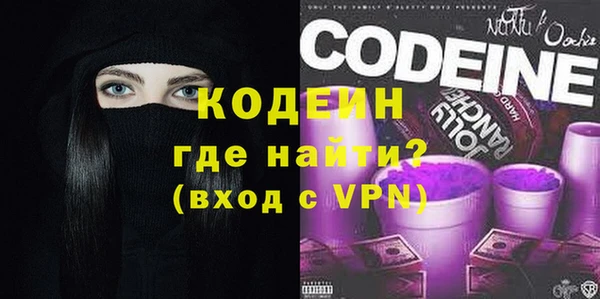 прущие грибы Лабытнанги