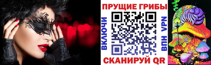 Купить где  Михайловск  Галлюциногенные грибы Magic Shrooms 