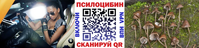 Псилоцибиновые грибы MAGIC MUSHROOMS Михайловск