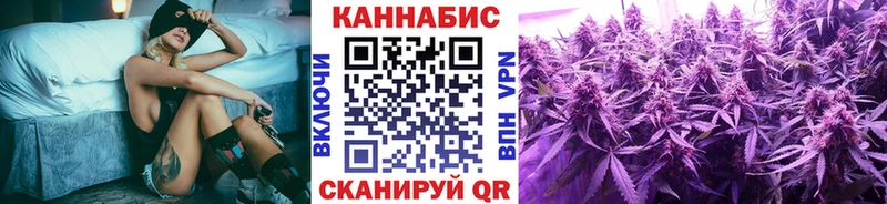 Купить где  Михайловск  Бошки марихуана ГИДРОПОН 